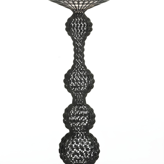 DS037	