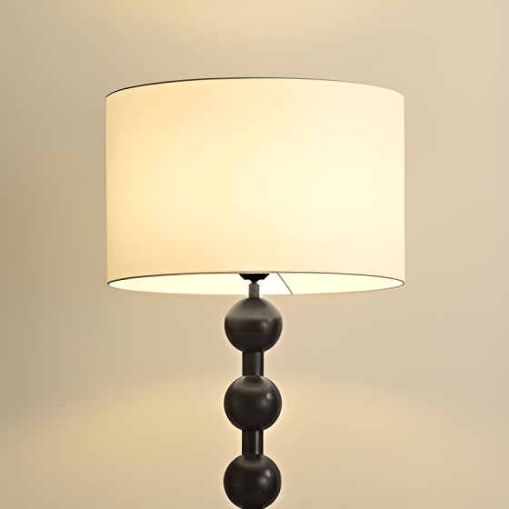 DS003