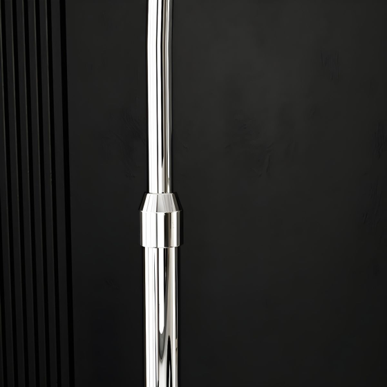 DS009