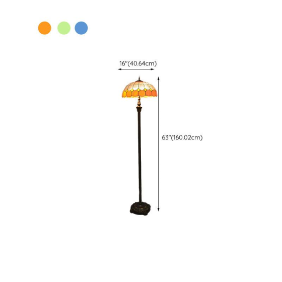 DS008