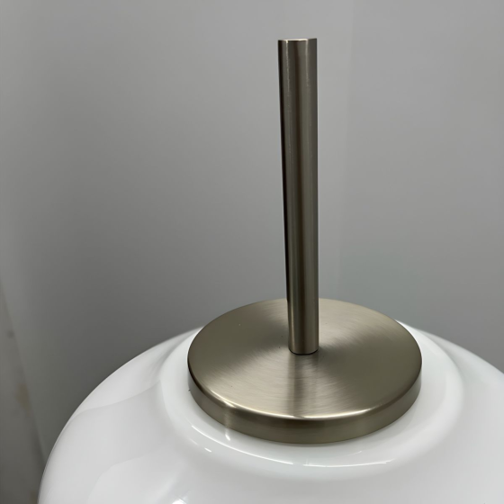 DS036	