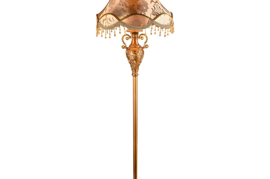 DS019