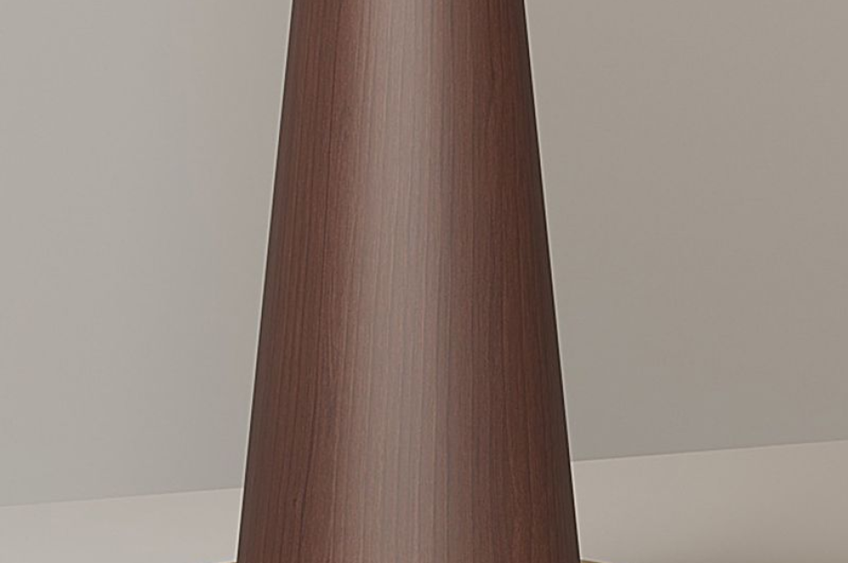 DS020