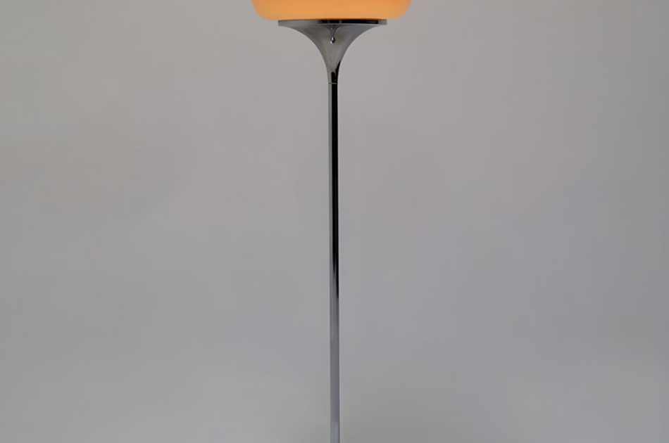 DS015