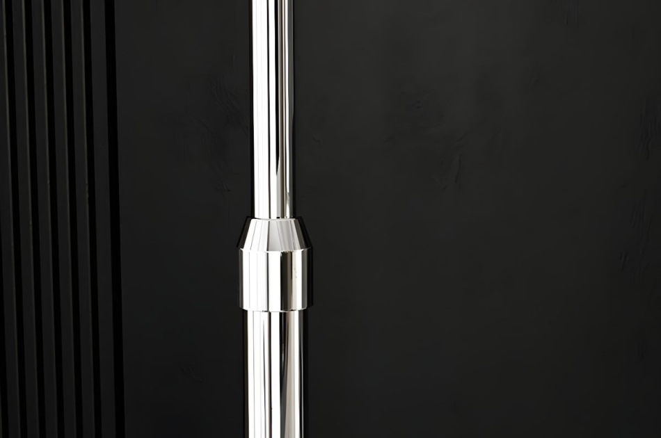 DS009